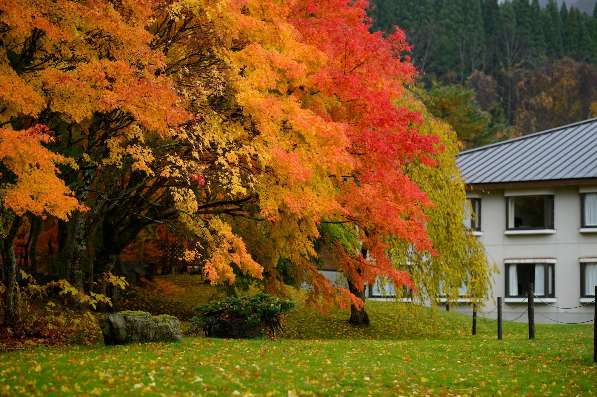 Towada Prince Hotel Kosaka Екстер'єр фото